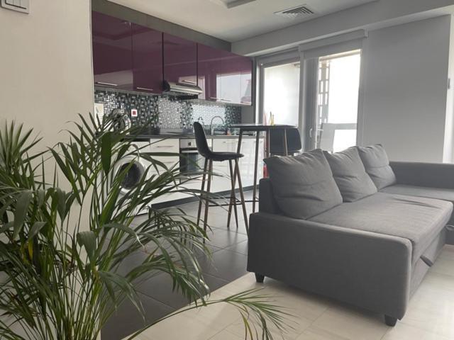 Cayan Tower Luxury Apartment With Sea View Dubai Luaran gambar